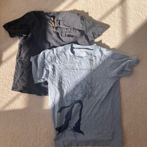 Graphic Tee and Button Henley Shirt